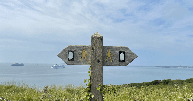 Exploring the world of executive marketing roles:  More than just CMO