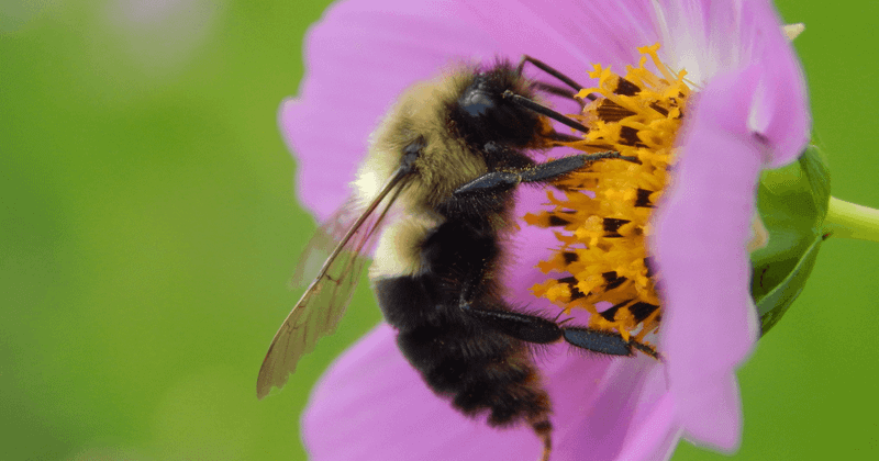 Five best practices for collecting  first-party data