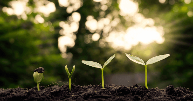 Unlocking growth: Integrated sales & marketing for B2B success