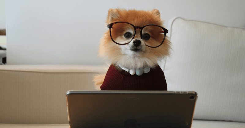 Don't ignore the importance of marketing creativity in IT