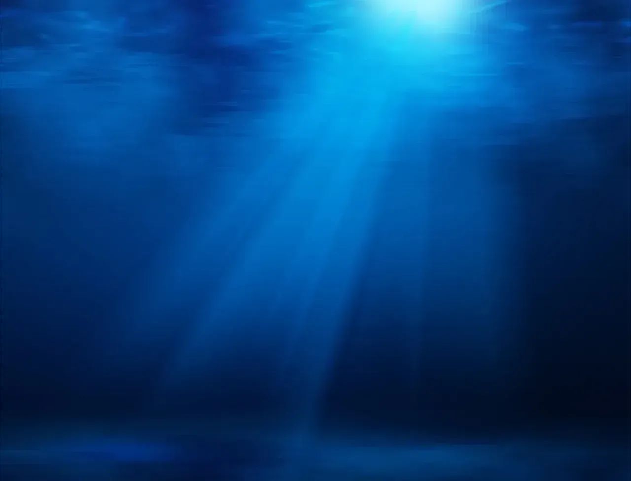 Beginning Anew Again