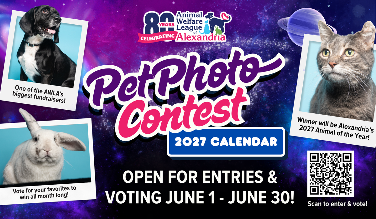AWLA opens its annual pet calendar contest Monday, in its 80th year