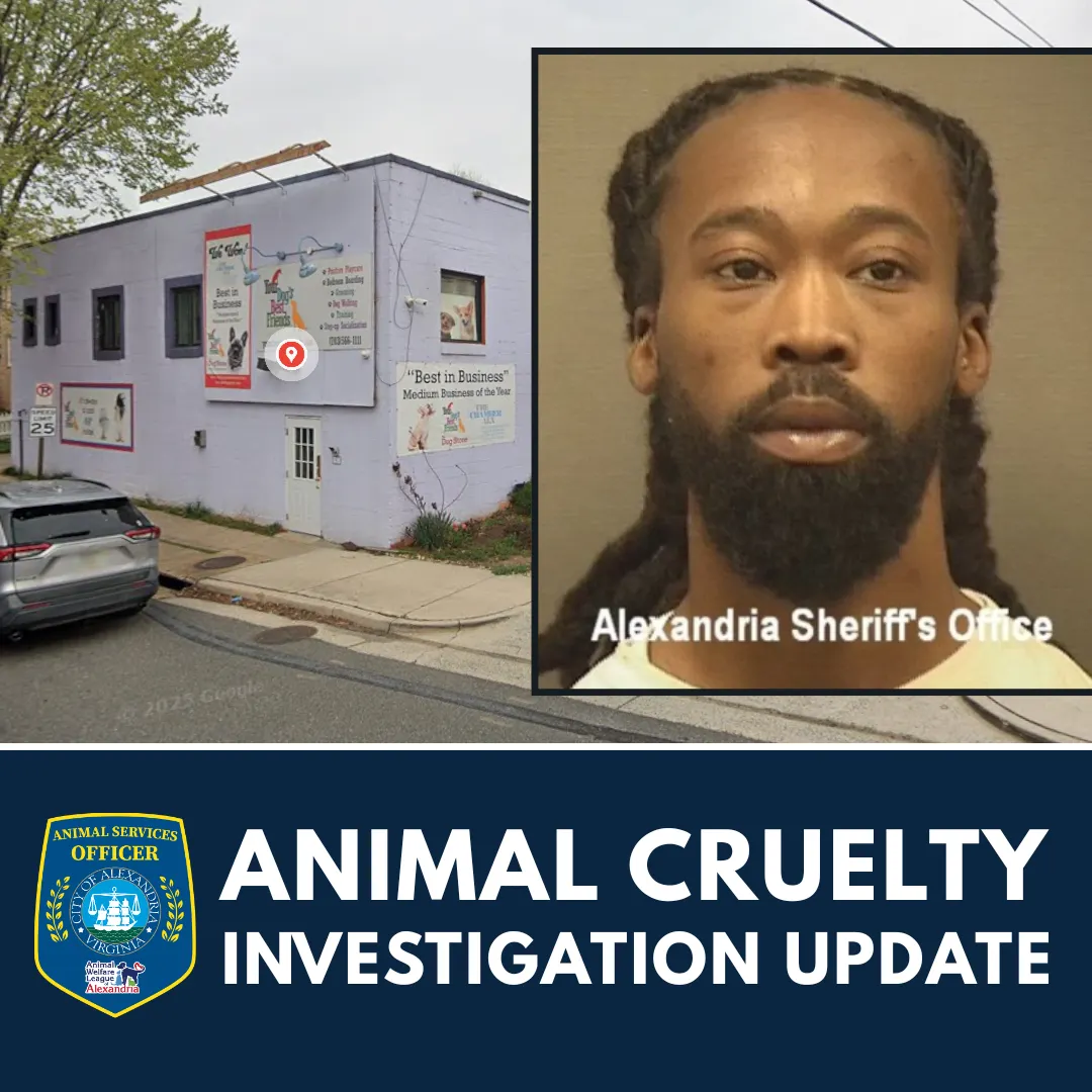 Former Your Dog's Best Friends groomer found guilty of felony animal abuse in dog's death