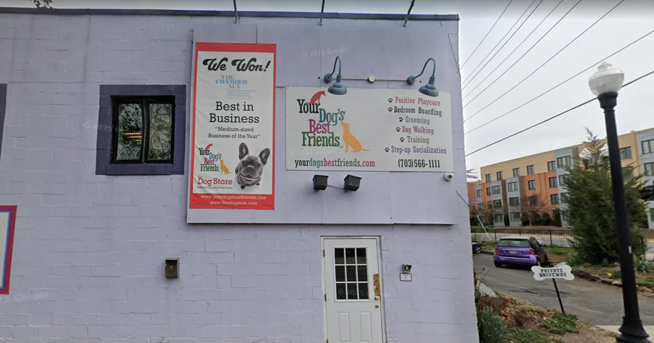 Your Dog's Best Friends owner apologizes, says he 'misjudged' groomer convicted of animal abuse