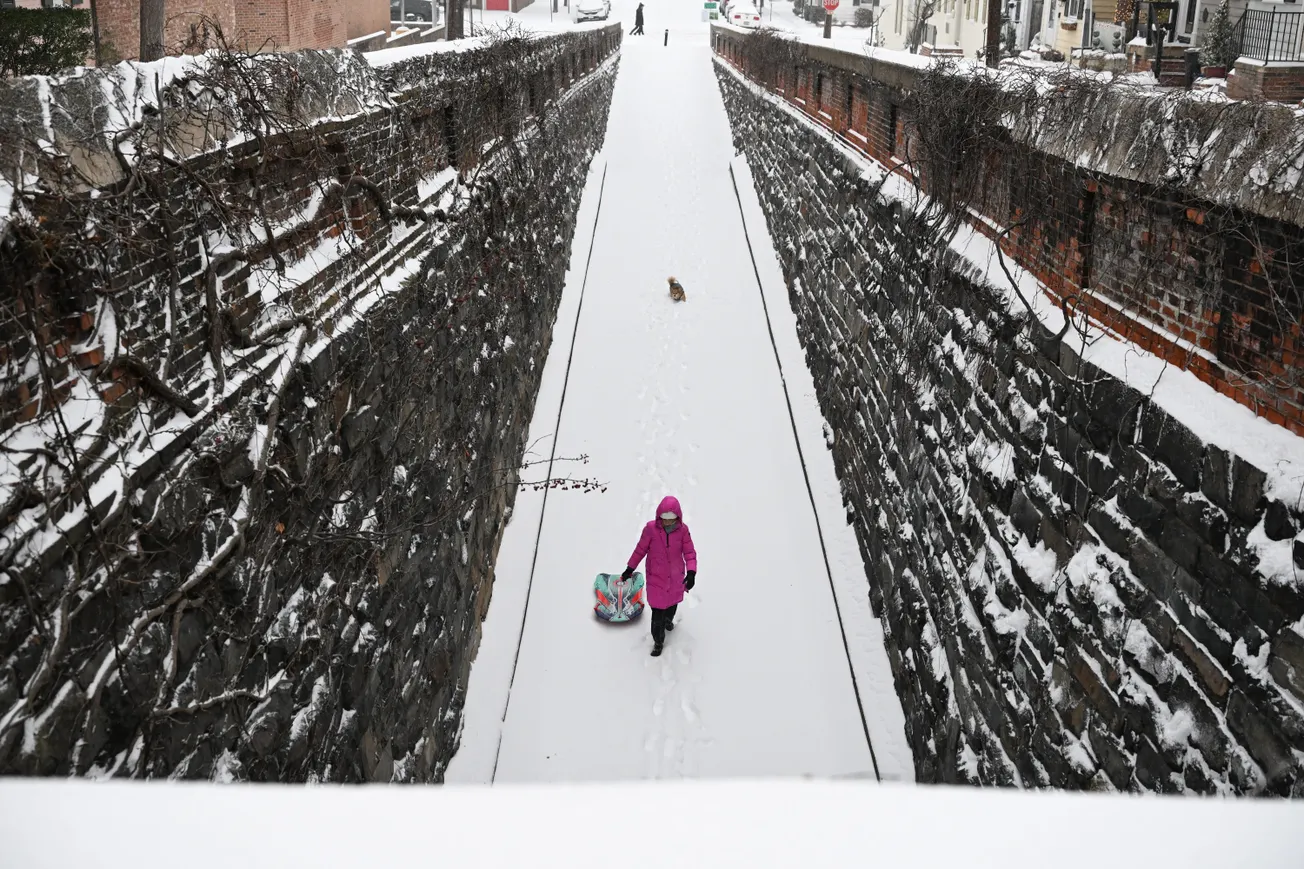 The Alexandria Brief: Wednesday, January 28