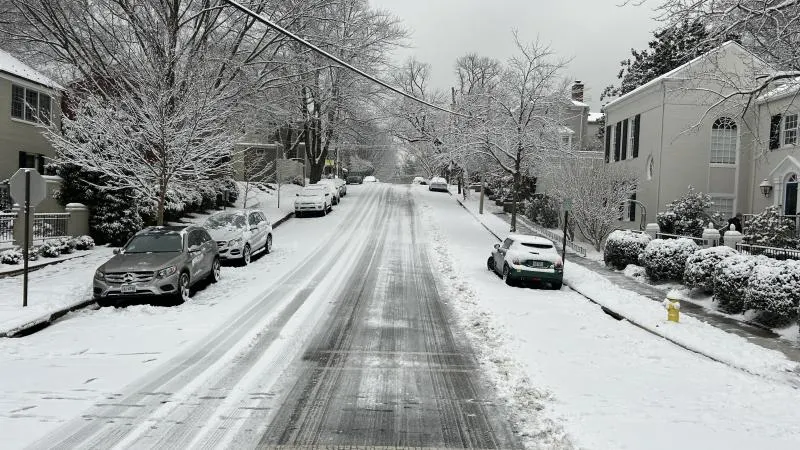 The Alexandria Brief — PM | Wednesday, January 28