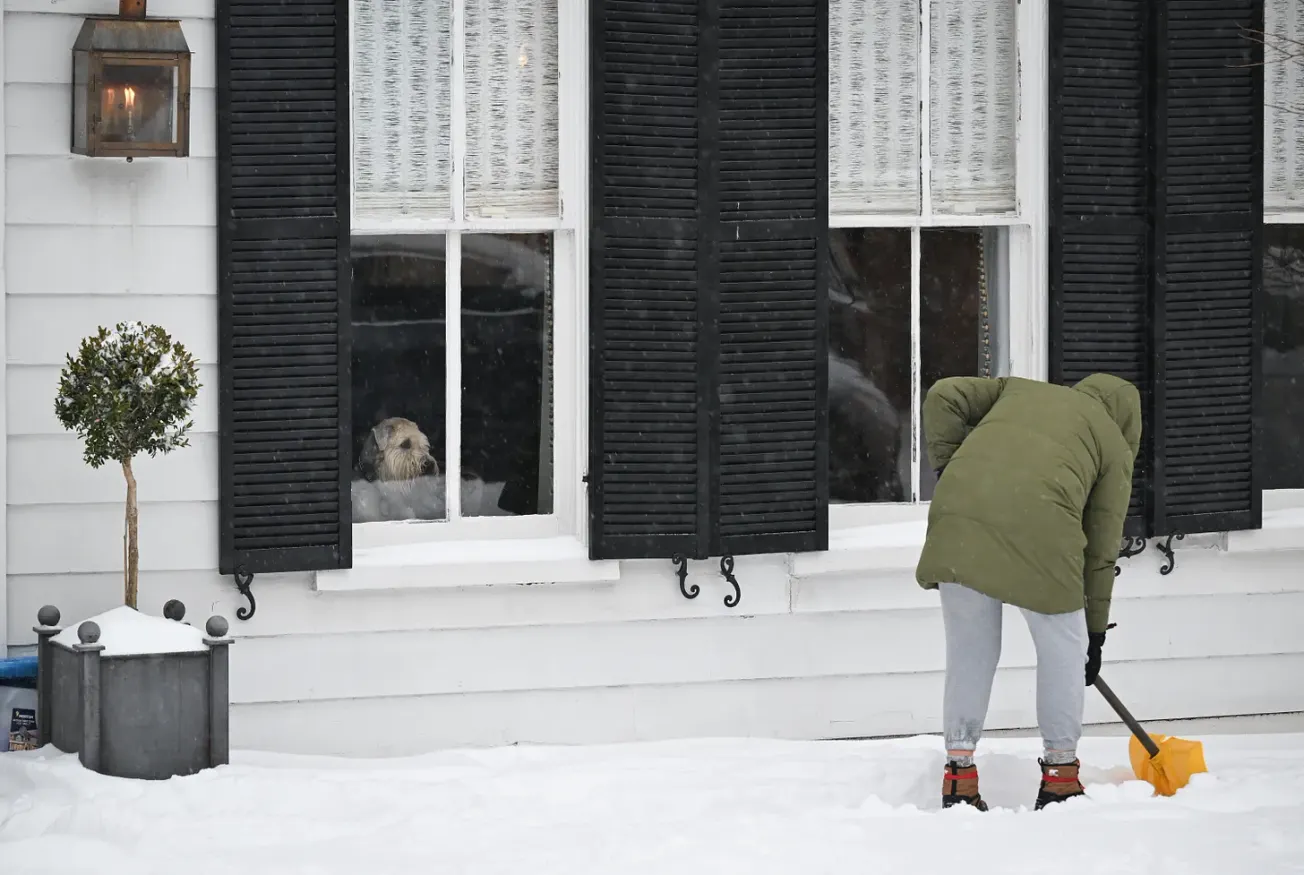 The Alexandria Brief: Tuesday, January 27