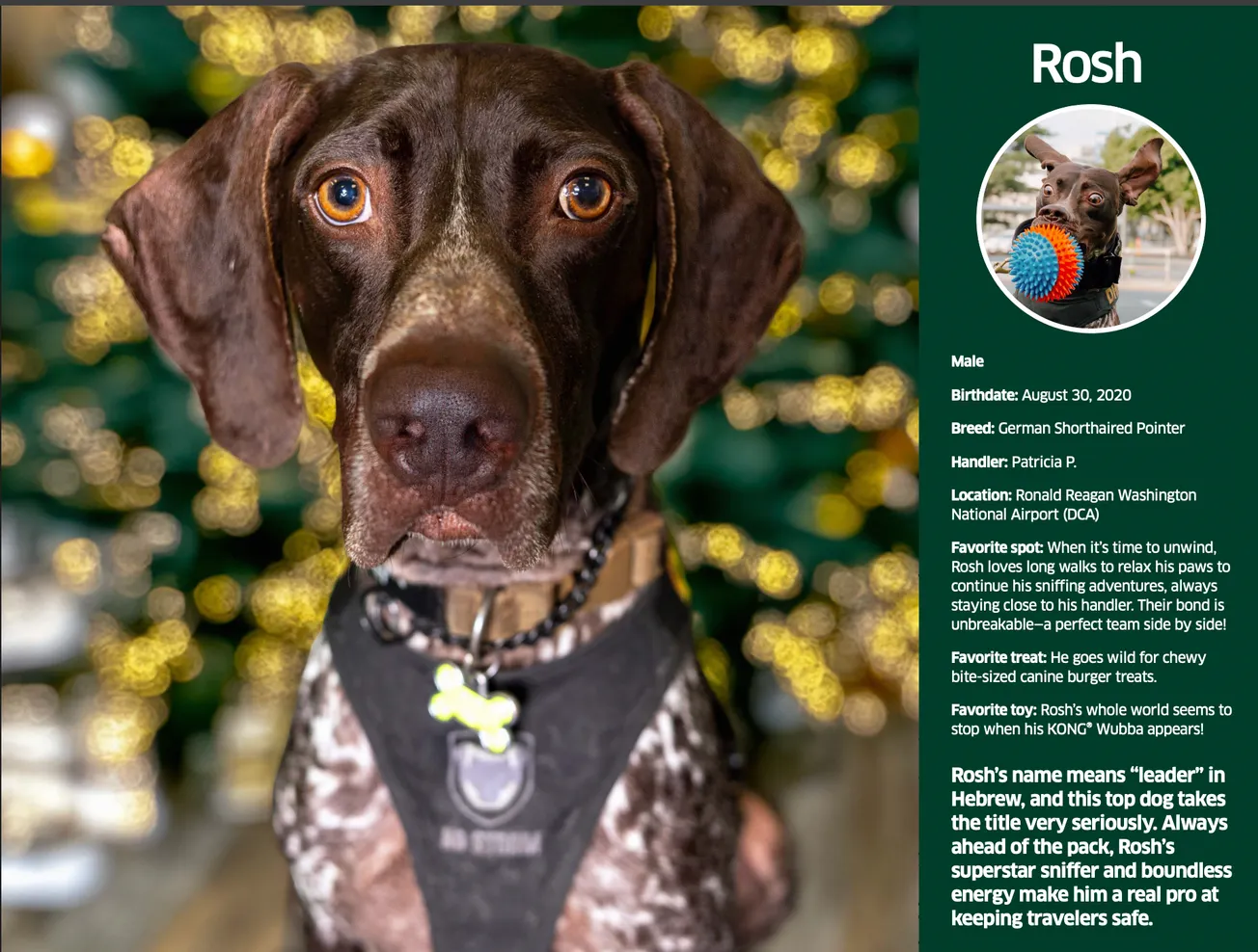 DCA's Rosh named to TSA's 2026 canine calendar