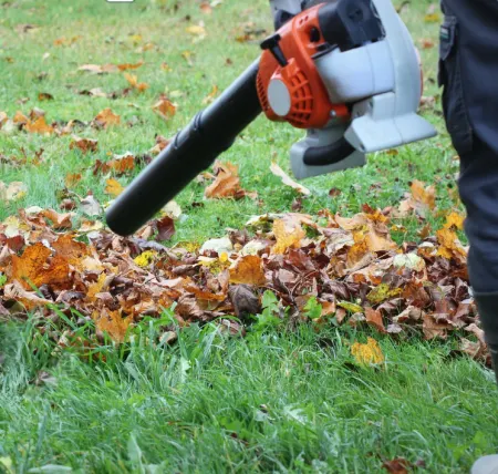 Alexandria's last fall with gas-powered leaf blowers draws to close