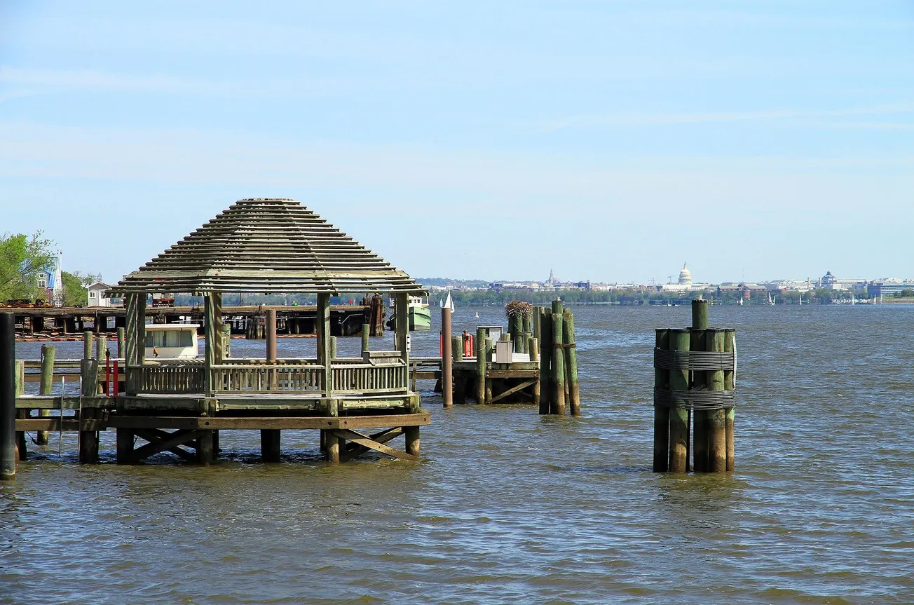 Regional officials briefed on Potomac sewage crisis. The Virginia data tells a more specific story for Alexandria.
