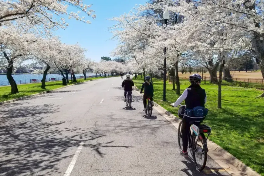 What's happening in Alexandria this weekend: March 27-29