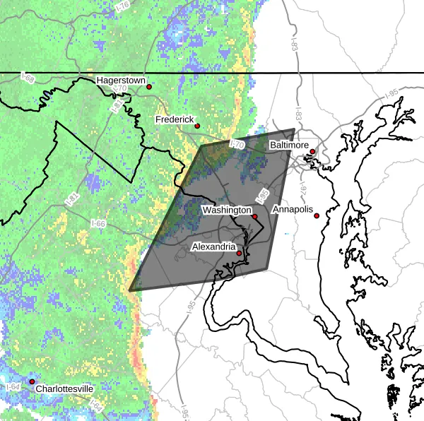 Tracking the storm: Power outages, closures, and developments across Alexandria