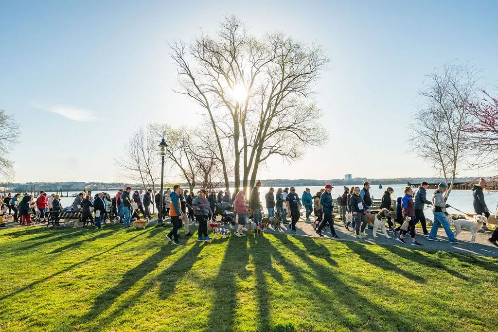 What's happening in Alexandria this weekend: April 17-19