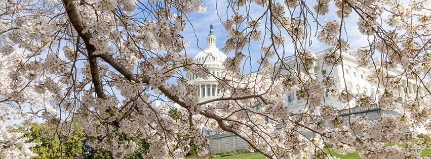 How Alexandria's congressional delegation is responding to Trump's Iran threats