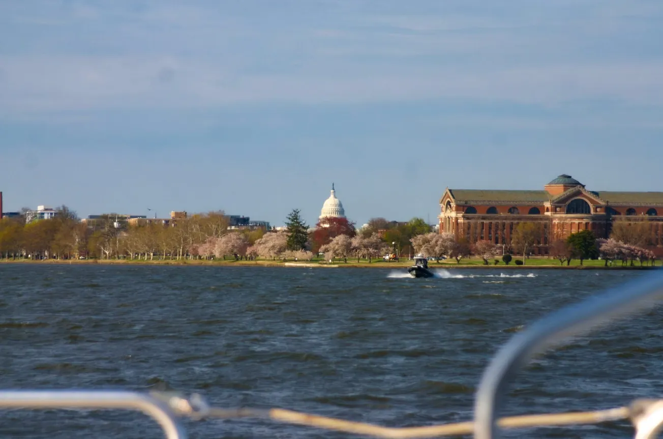 Conservation groups raise alarm as Potomac River named most endangered in the nation
