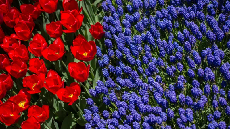 Beautification Commission opens nominations for 2026 Alexandria Beautification Awards