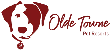 National pet care chain to take over South Peyton Street dog daycare, expand Olde Towne Pet Resorts brand