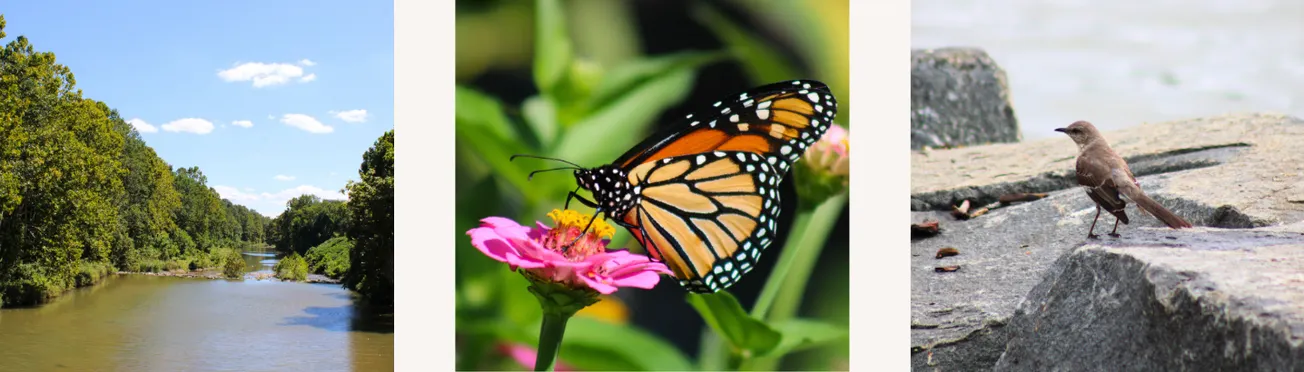 Alexandria's natural resources team hitting the community trail this spring with free events, nature challenge