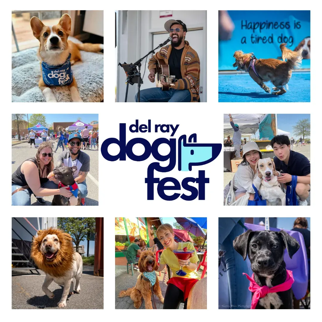 Del Ray Dog Fest returns April 12 to benefit retired Alexandria police K9s