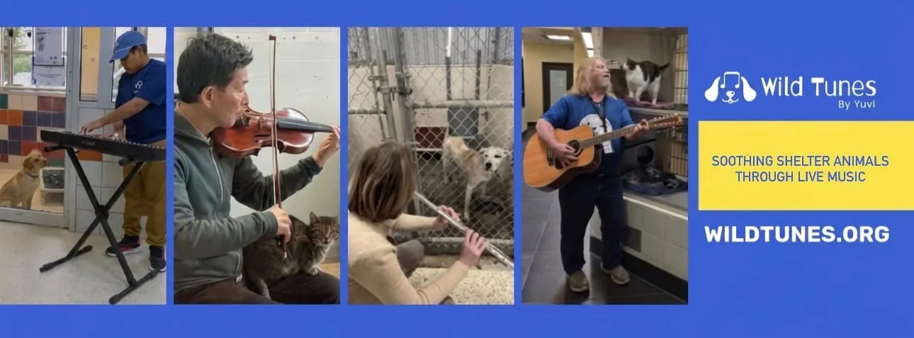 A youth-founded music program comes to Alexandria's animal shelter
