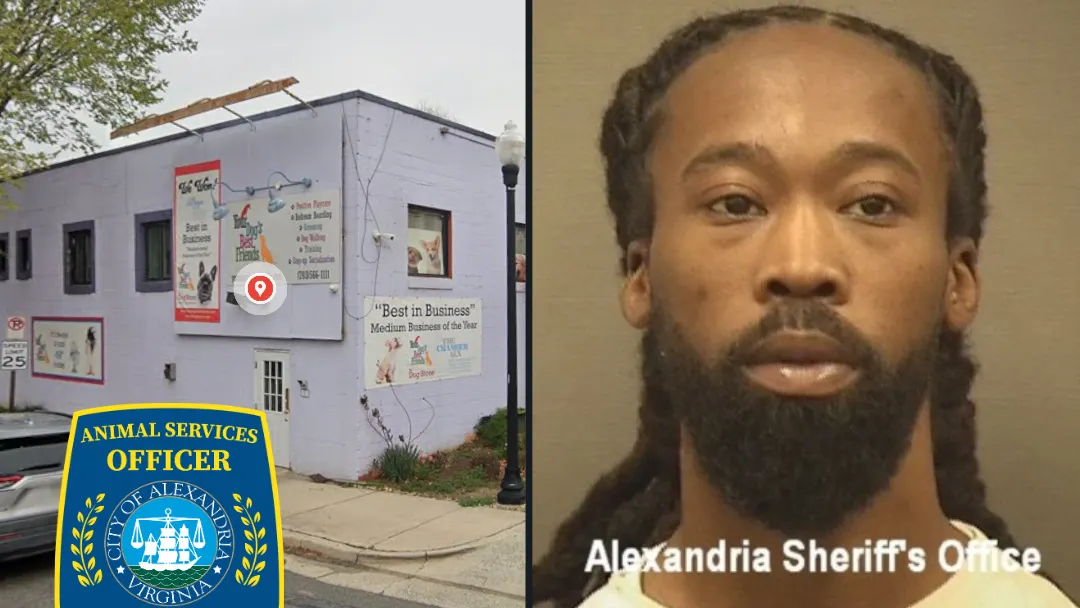 Alexandria dog groomer sentenced in animal cruelty case