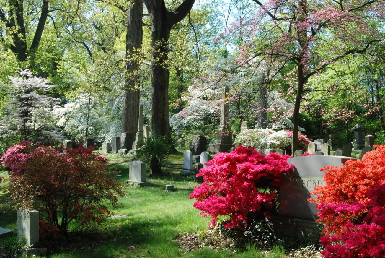 June 18 in Alexandria history: When Alexandria opened its first garden-style cemetery on a hillside northwest of the city
