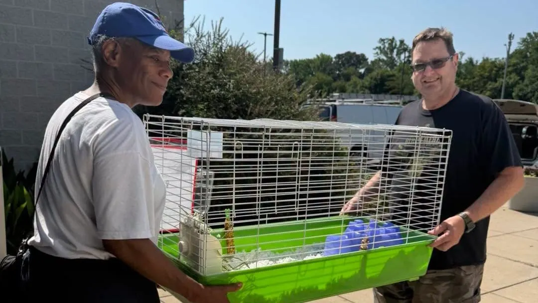 Power outage on 100-degree day prompted AWLA to move nearly 50 animals to emergency foster homes over Fourth of July weekend