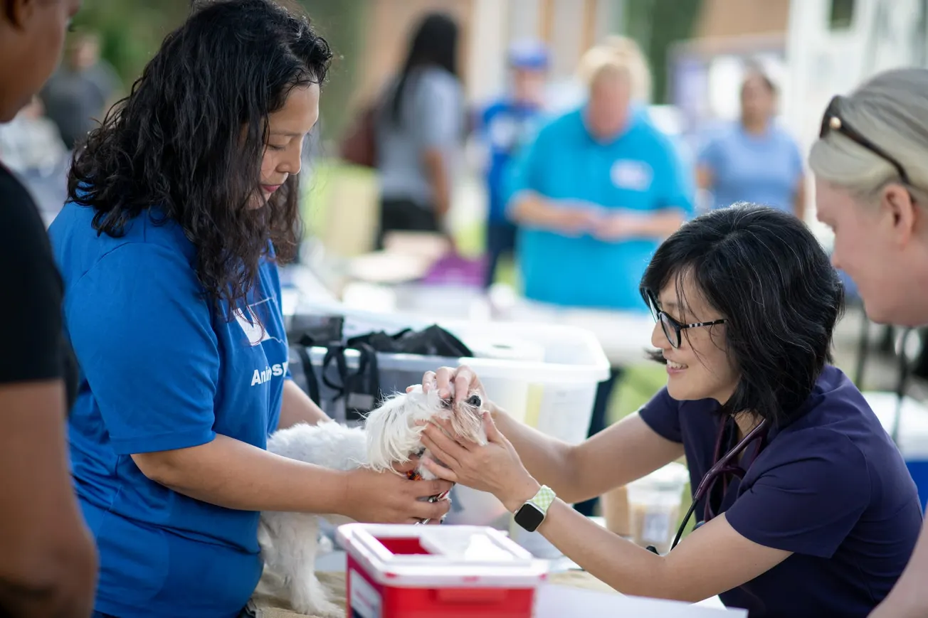 AWLA lands $600,000 PetSmart Charities grant — largest in its 80-year history — to expand veterinary access in underserved neighborhoods