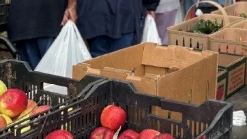 Alexandria seniors can apply now for free farmers market produce