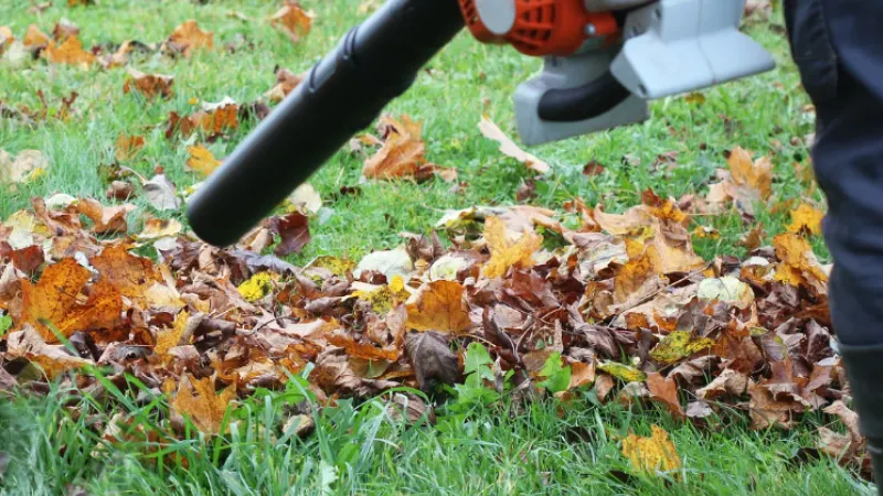 Alexandria holds community meeting on gas leaf blower ban ahead of November deadline