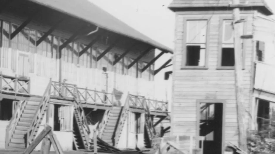 On this day in Alexandria history: The night 200 mules stampeded through the city — and a soldier lost his clothes