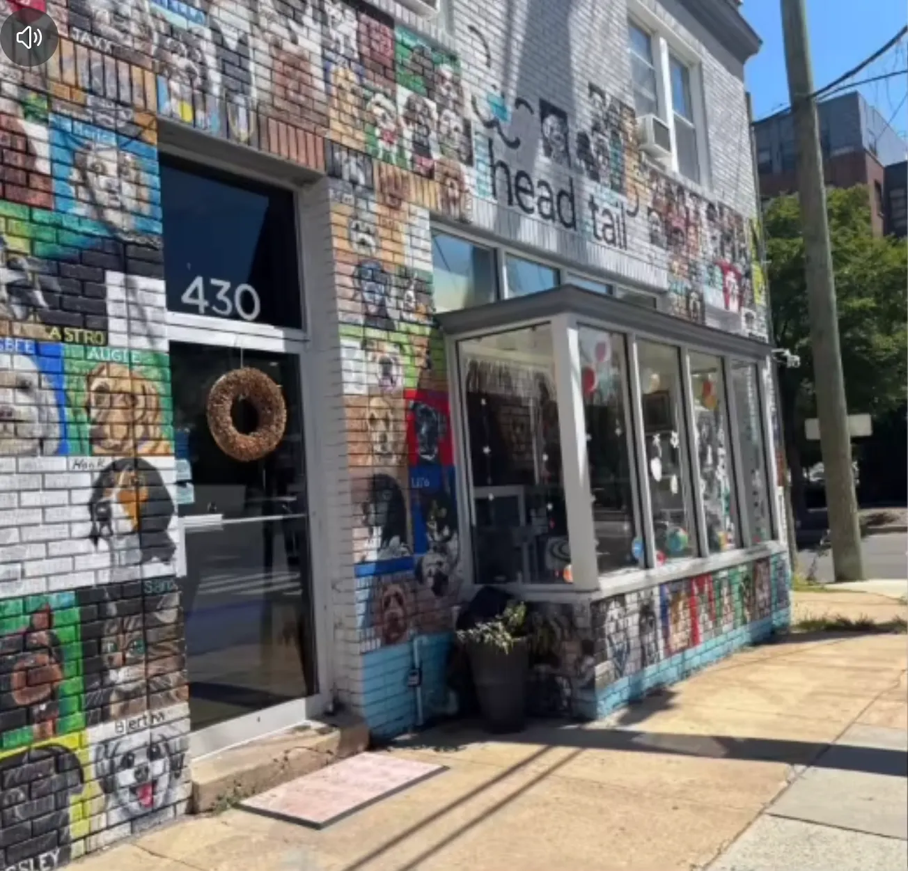 Pet portrait mural grows onto Head to Tail's new pantry
