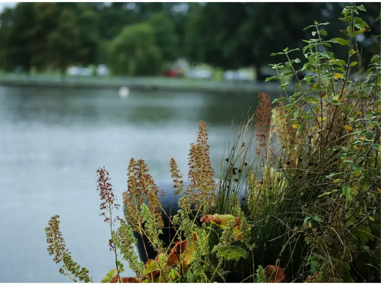 Alexandria stays under a drought warning as other parts of Virginia improve