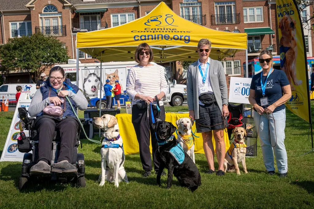 Paws in the Park returns Oct. 11 with its largest Rescue Row yet