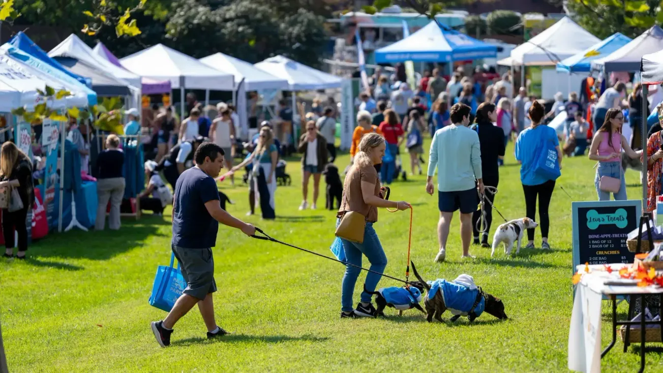 Things to do in Alexandria this weekend: Oct. 9 - 12
