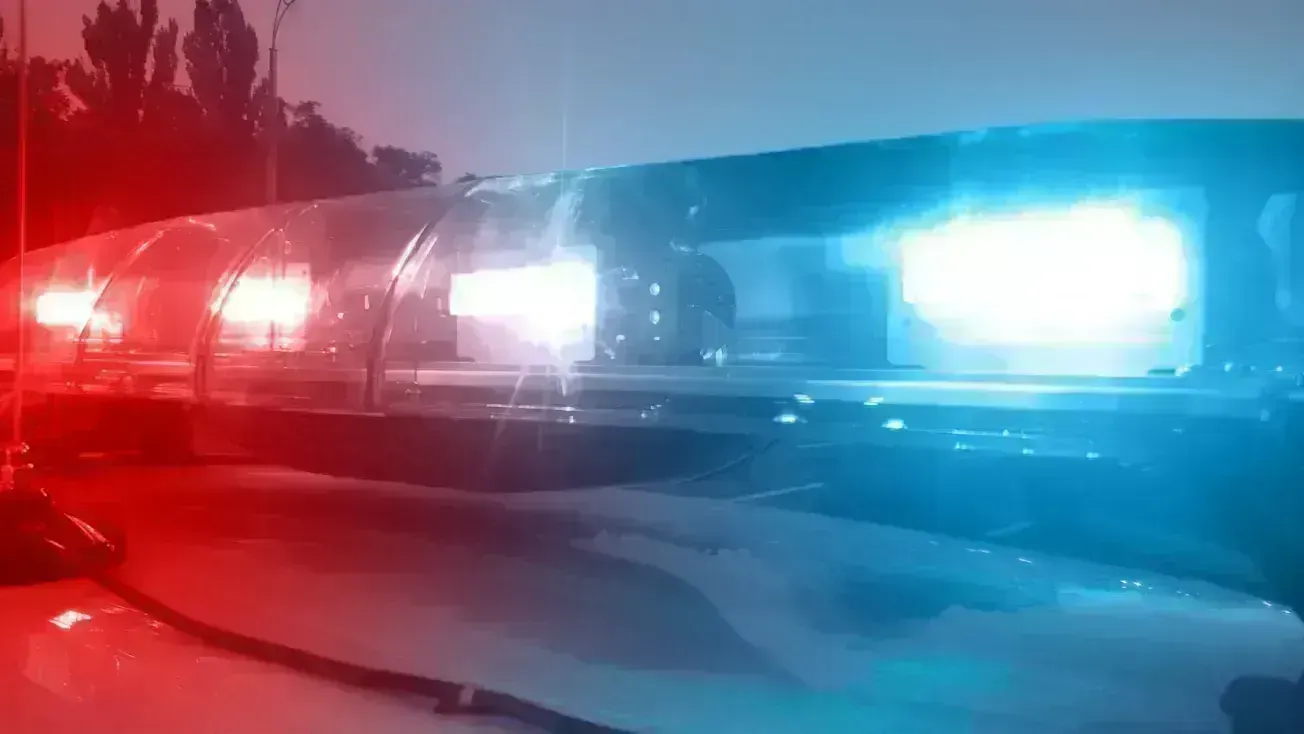 ICE arrests former Del Ray bakery employee convicted in hidden camera case