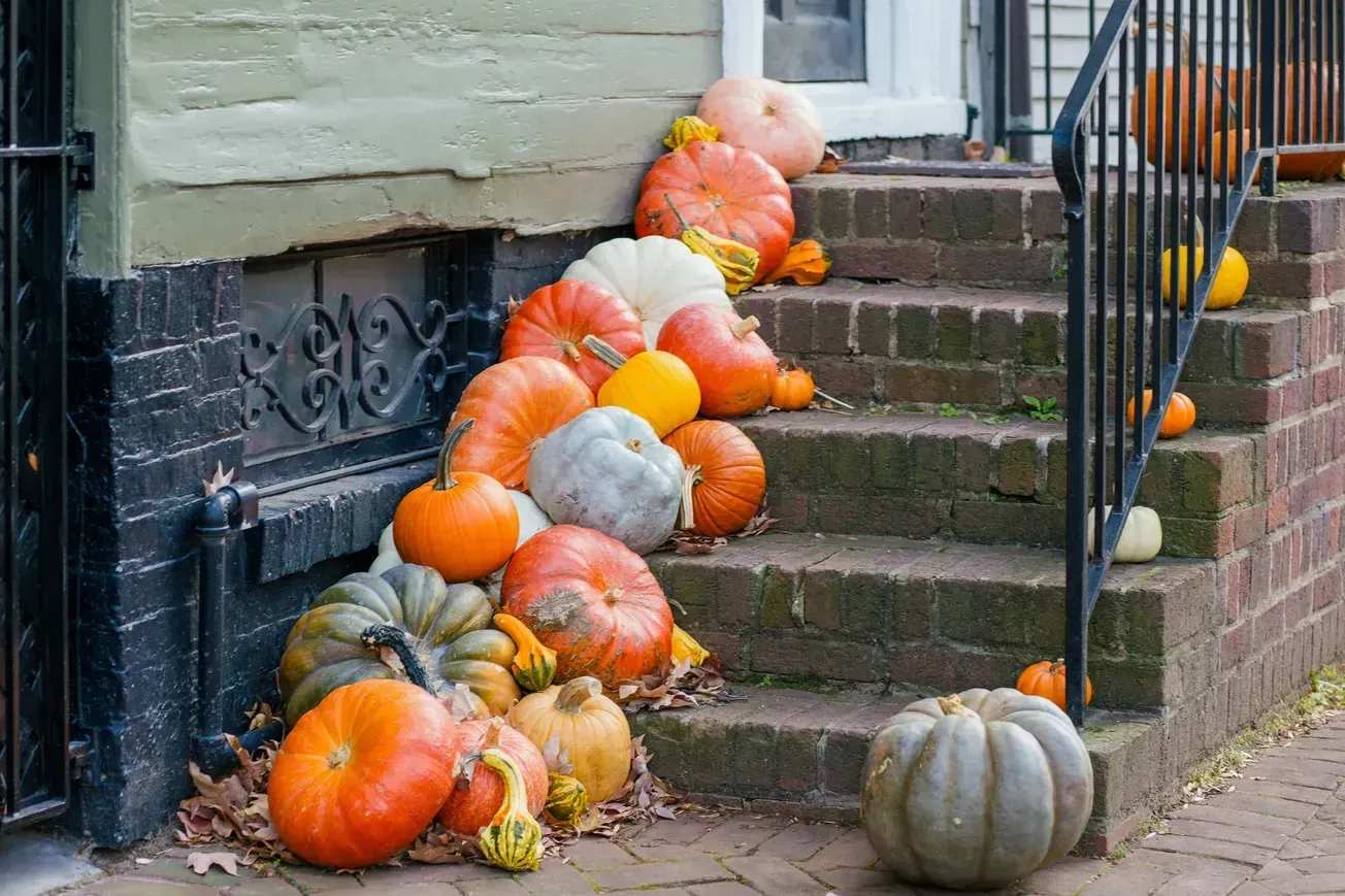 Things to do in Alexandria this weekend: Oct. 16-18