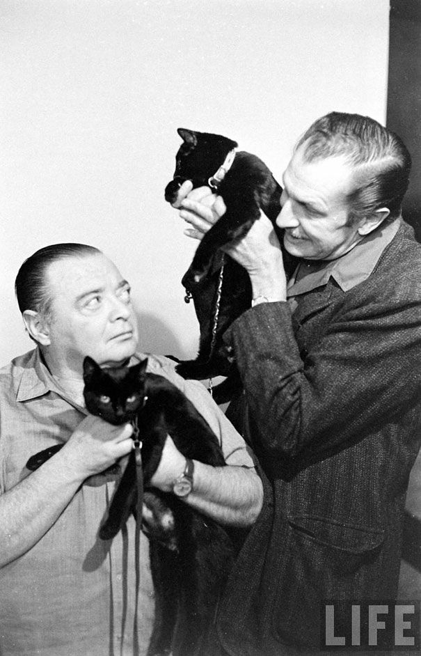 Black Cat Auditions in Hollywood (1961)