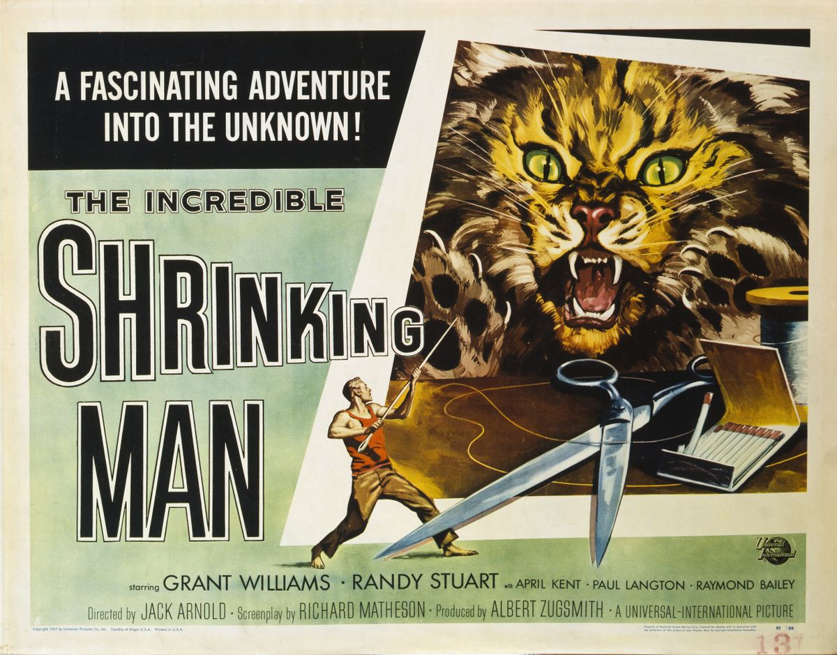 The Incredible Shrinking Man
