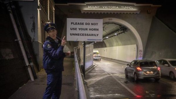 The Dark Underbelly of Mt Victoria