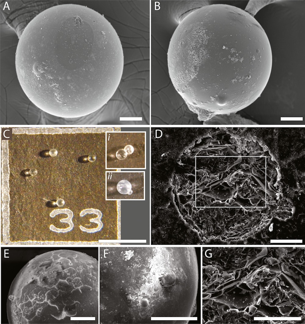 anciennes billes cosmiques-traces impact meteorite vues microscope