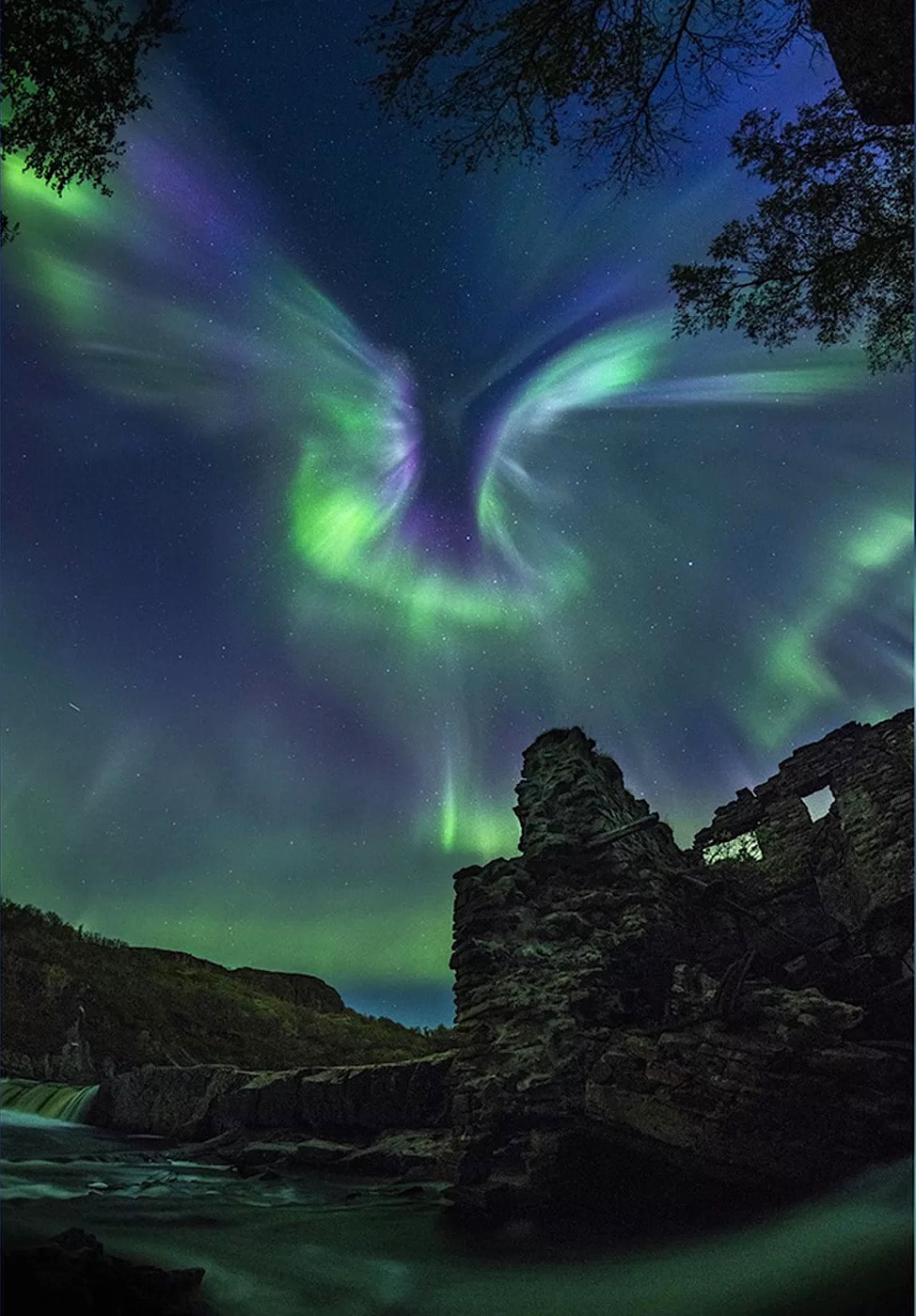 aurore polaire forme phoenix russie entier