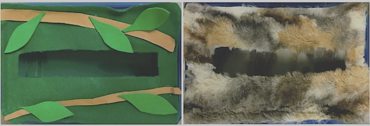 boites tache tri aliments etude enfants