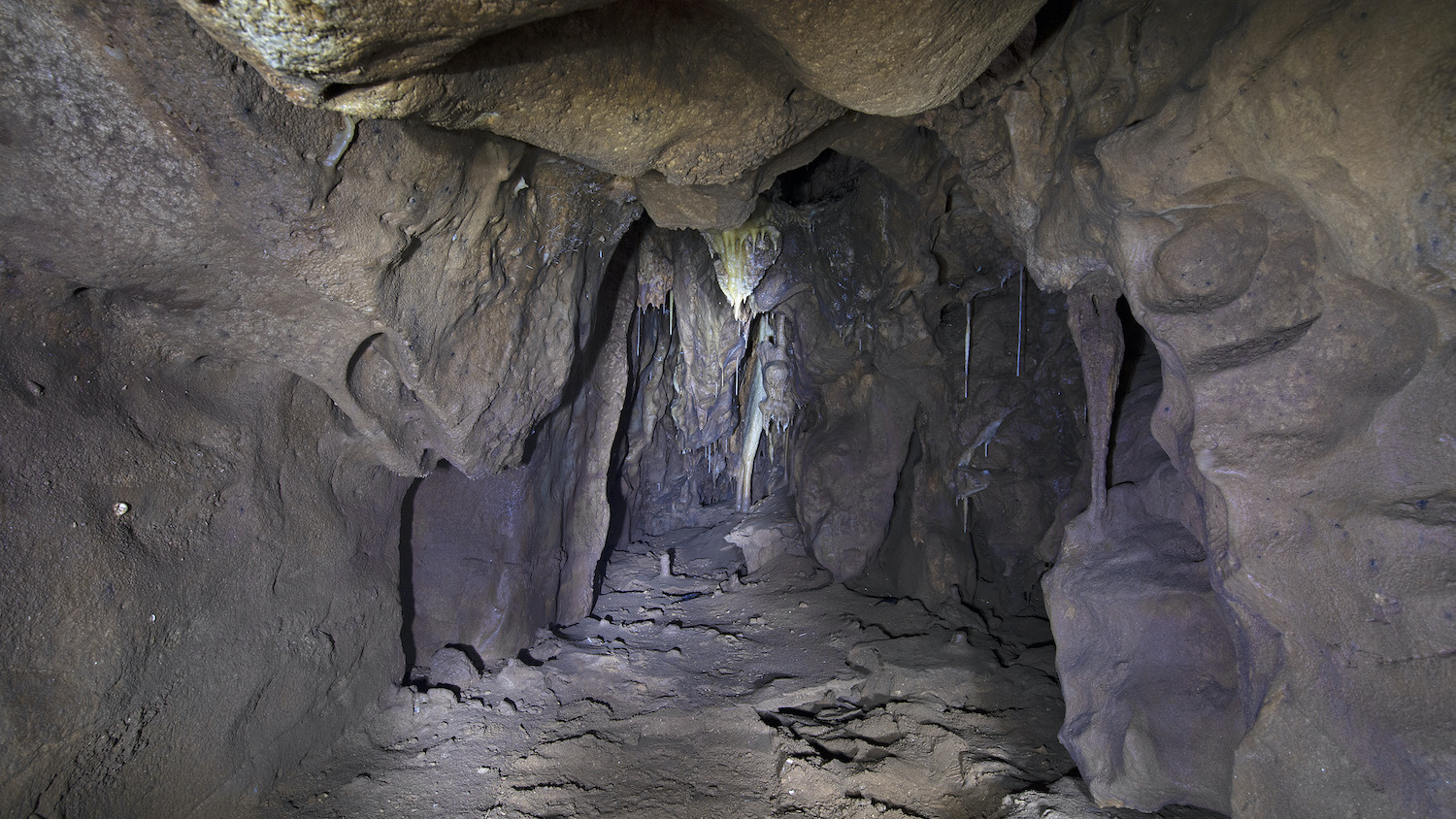 cavite grotte neandertaliens 40 000 ans