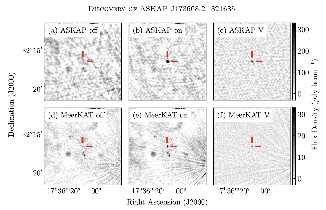 decouverte signal radio andy galaxie askap