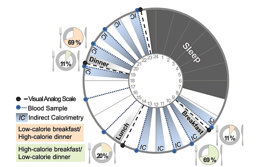 deroulement etude repas copieux matin benefices