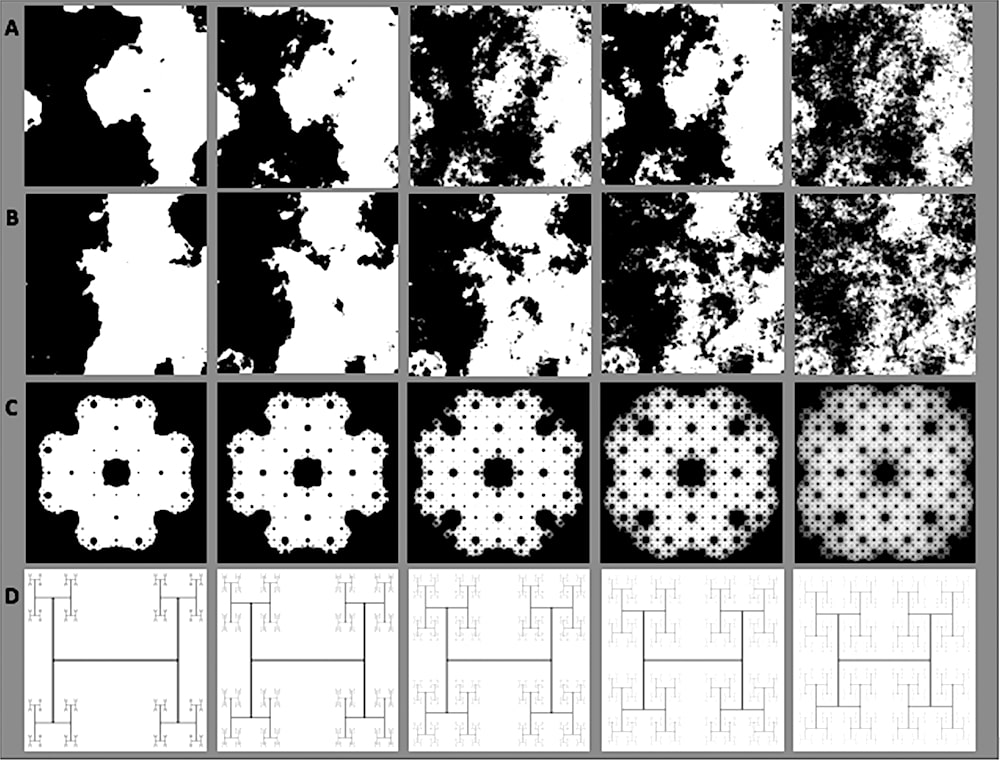 exemples dessins fractals etude enfants nature