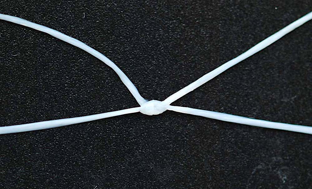 fil cellules peau humaine noeud