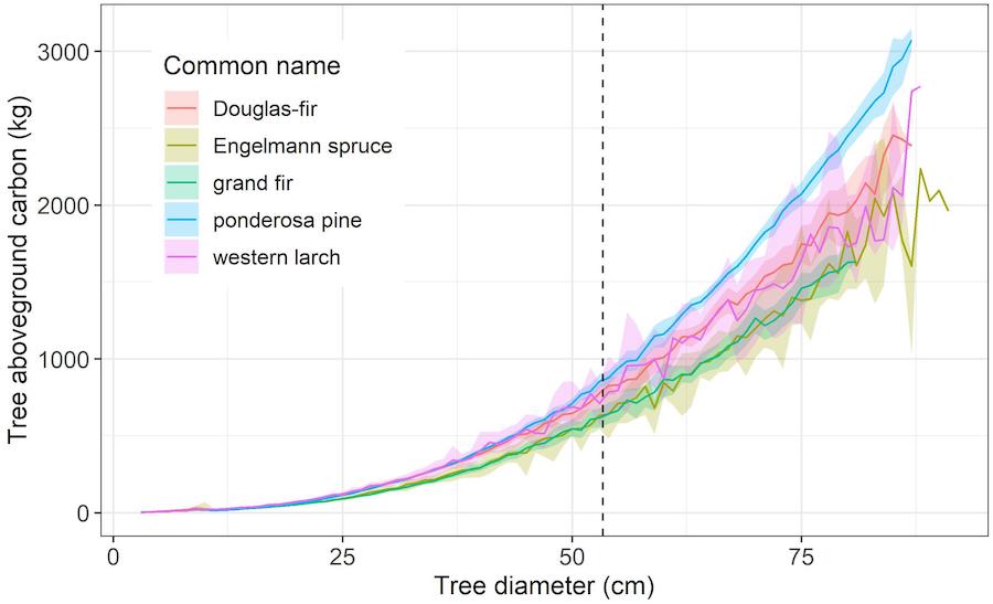 graphique diametre arbres carbone stocke