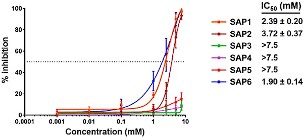 inhibition infection sars-cov-2 peptide sap